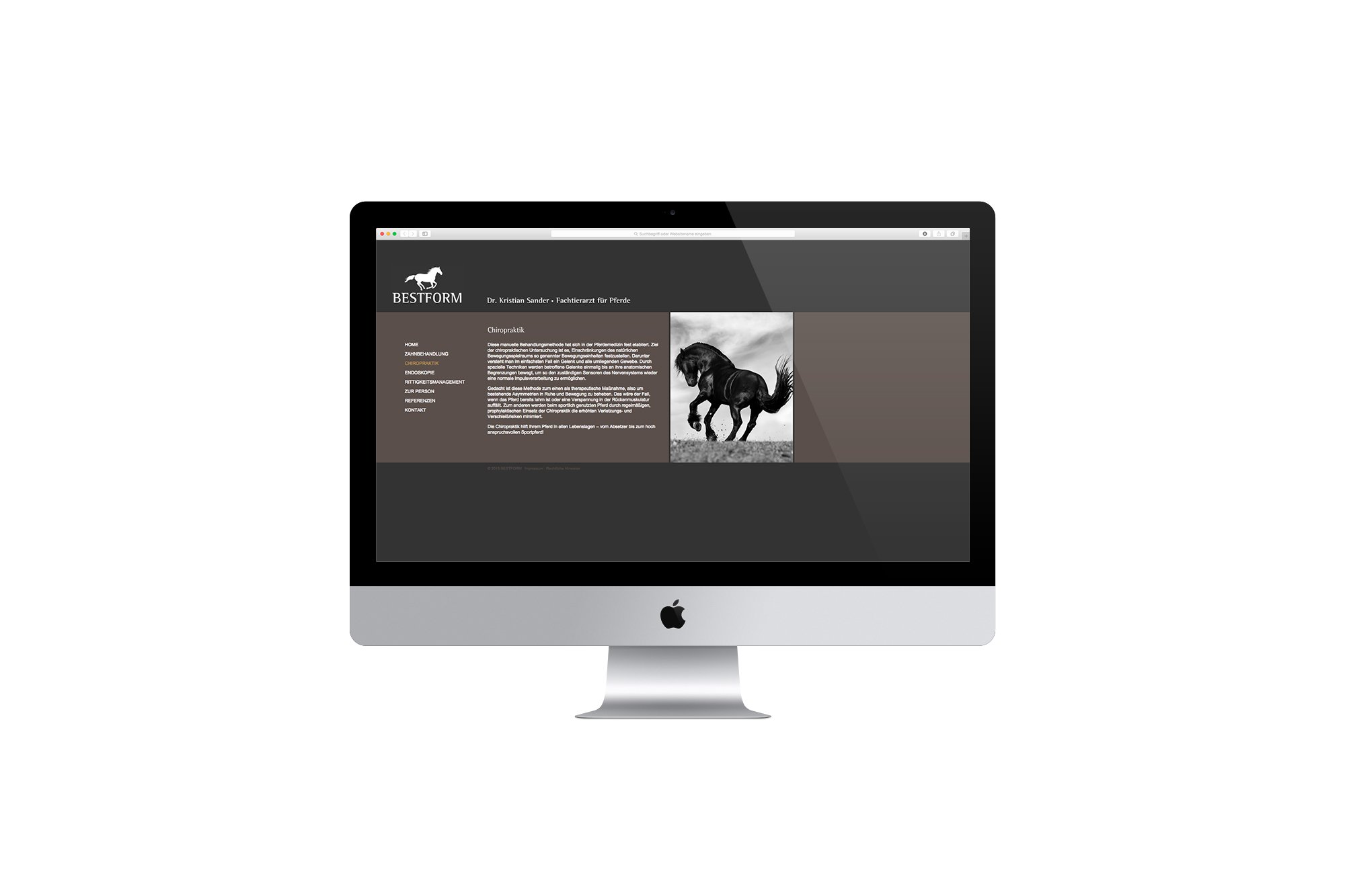 Werbeagentur aus Nordhausen/Thüringen für Grafikdesign und Webseiten: Bestform Website des Fachtierarztes für Pferde Dr. Kristian Sander