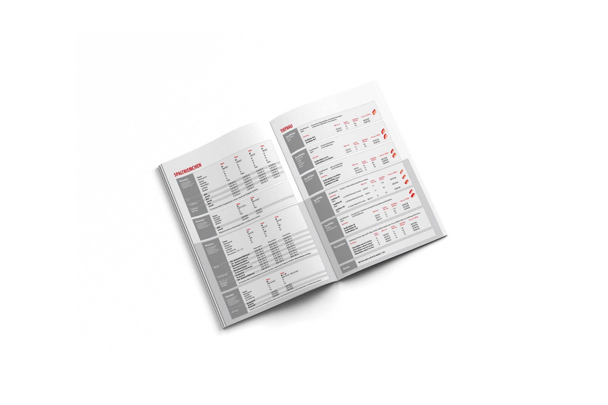 Werbeagentur aus Nordhausen/Thüringen für Grafikdesign und Webseiten: Preisliste der ERLUS AG aus dem bayerischen Neufahrn für die Industrie