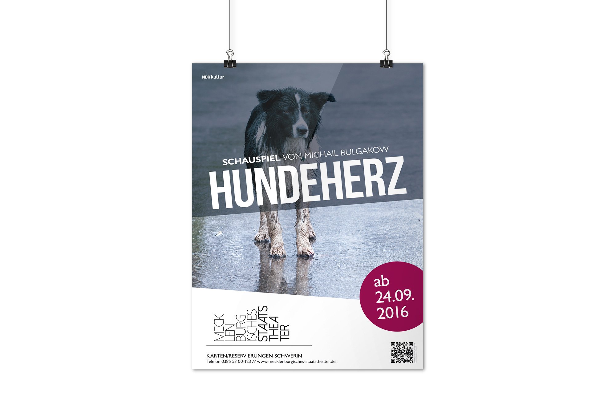 Werbeagentur aus Nordhausen/Thüringen für Grafikdesign und Webseiten: Plakat zum Schauspiel Hundeherz des Mecklenburgischen Staatstheaters für Kunst und Kultur